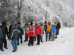 silvestr 2010